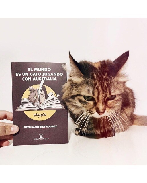 El mundo es un gato jugando con Australia  (Tapa blanda con solapas Tapa blanda) 2