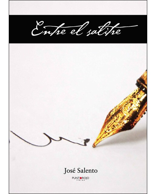 Imagen 0 de Entre el salitre (Tapa blanda)
