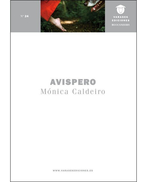 Imagen 0 de Avispero