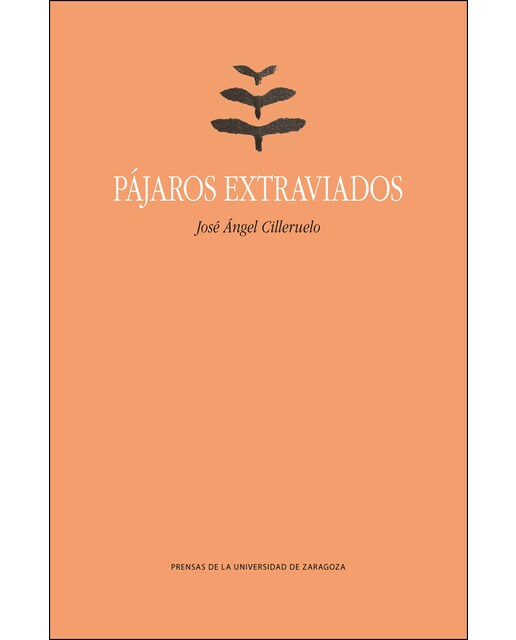 Imagen 0 de Pájaros extraviados