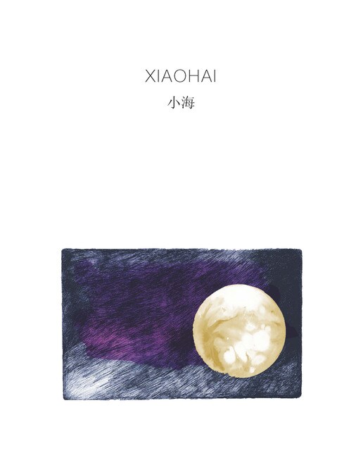 Xiaohai 1