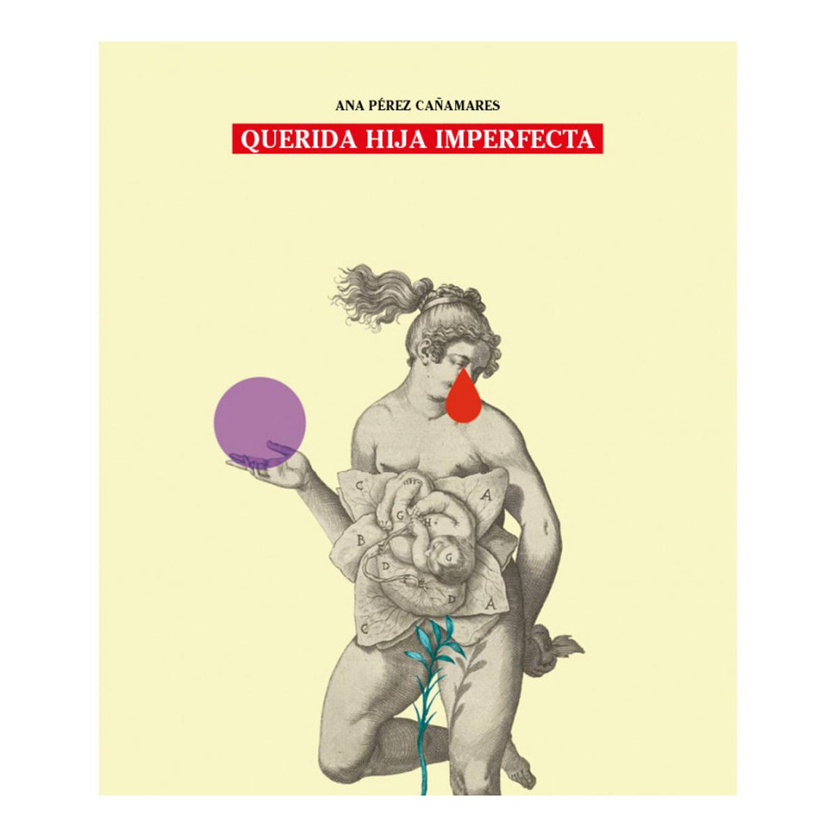 Imagen 1 de Querida hija imperfecta (Tapa blanda)