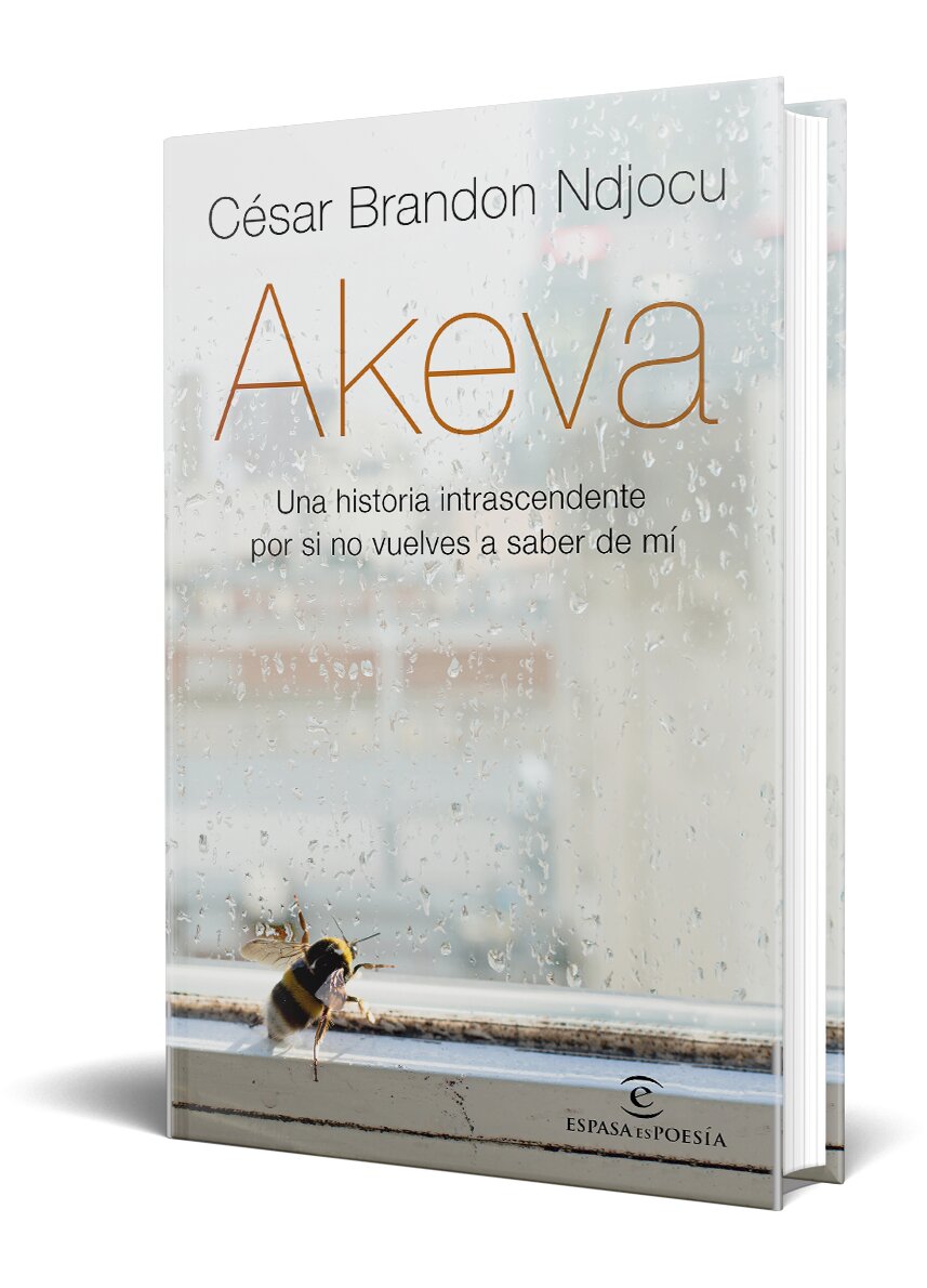 Akeva: Una historia intranscendente por si no vuelves a saber de mí (Tapa dura) 2
