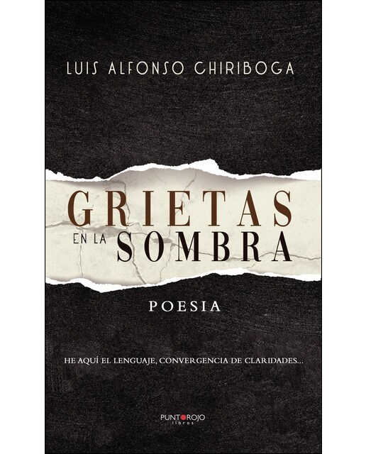 Imagen 0 de Grietas en la sombra (Tapa blanda)