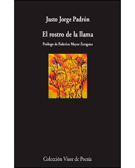Imagen 0 de El rostro de la llama (Tapa blanda)