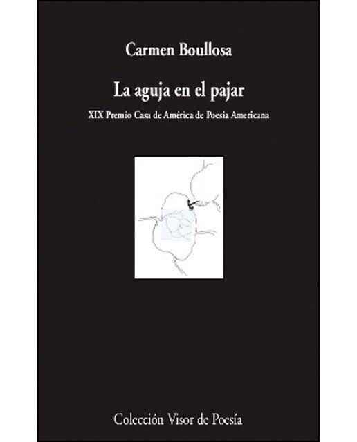Imagen 0 de La aguja en el pajar (Tapa blanda)