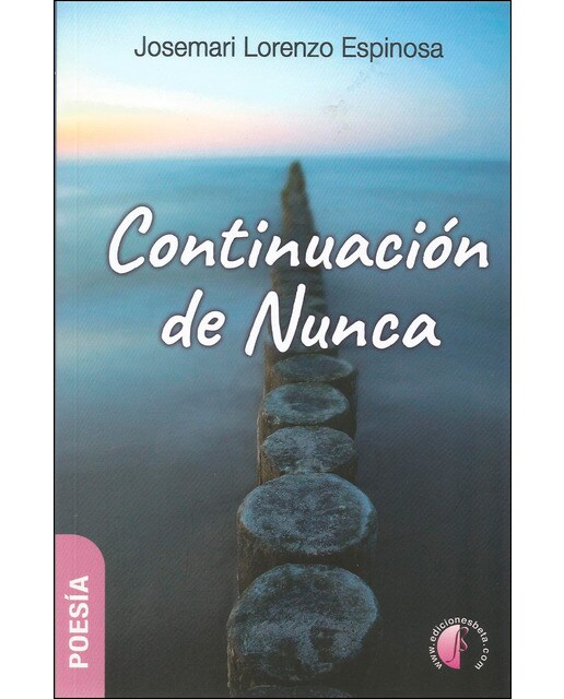 Imagen 0 de Continuación de nunca (Tapa blanda)