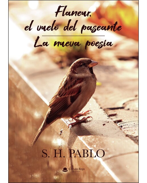 Flaneur, el vuelo del paseante