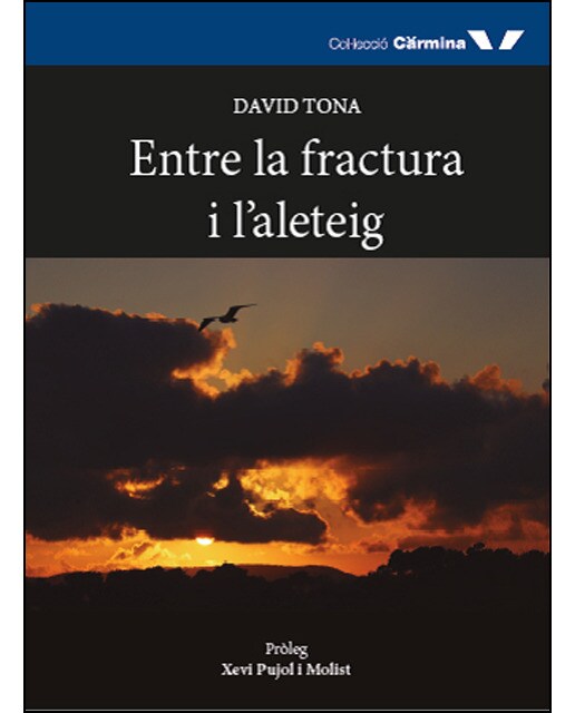 Entre la fractura i l'aleteig(Tapa blanda) 1