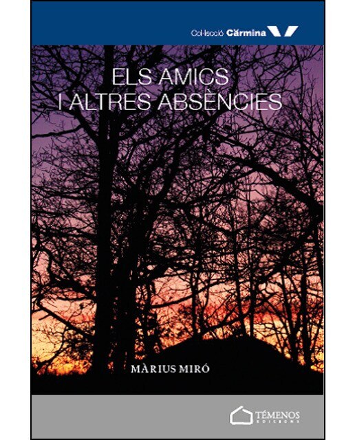 Els amics i altres absències(Tapa blanda) 1