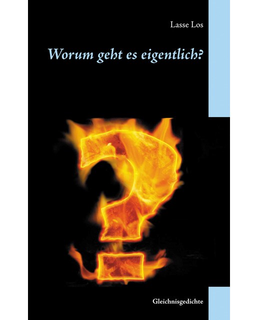 Worum geht es eigentlich?: Gleichnisgedichte(Tapa blanda) 1