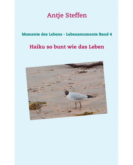 Momente Des Lebens - Lebensmomente Band 4Tapa Blanda 1