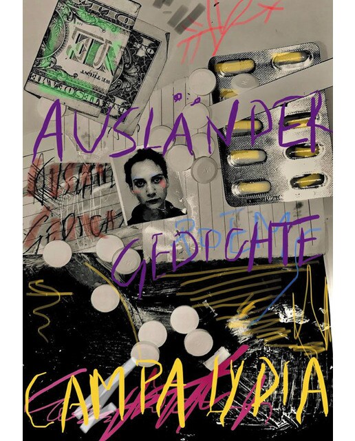 Ausländer gedichte(Tapa blanda) 1