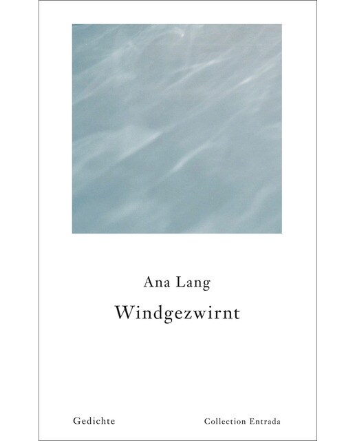 Windgezwirnt(Tapa dura) 1