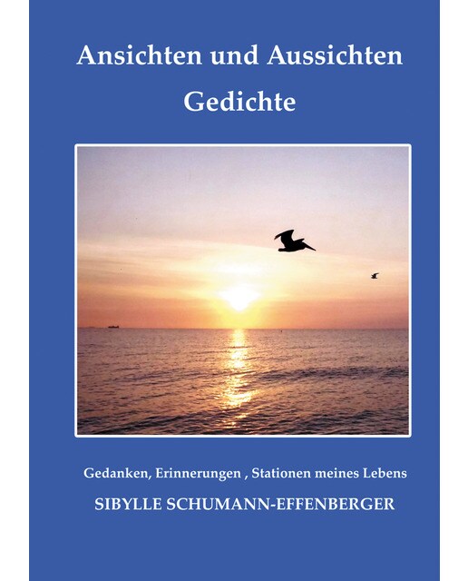 Ansichten und Aussichten: Gedanken, Erinnerungen , Stationen meines Lebens (Capa dura) 1