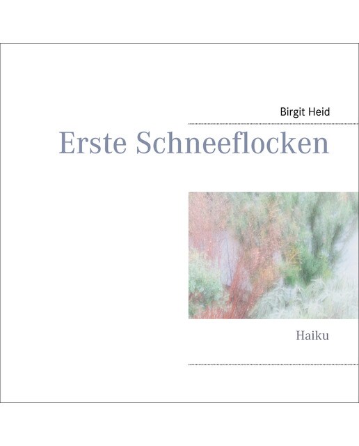 Erste Schneeflocken 1