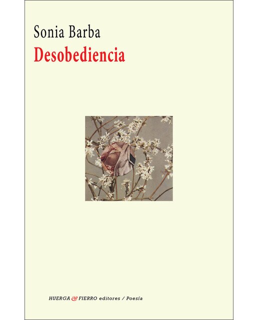Desobediencia(Tapa blanda) 1