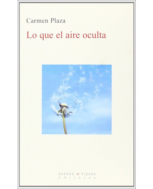 Lo que el aire oculta(Tapa blanda) 1