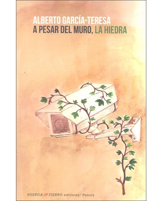 A pesar del muro, la hiedra(Tapa blanda) 1