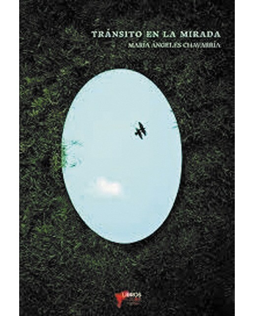 Transito de la mirada 1