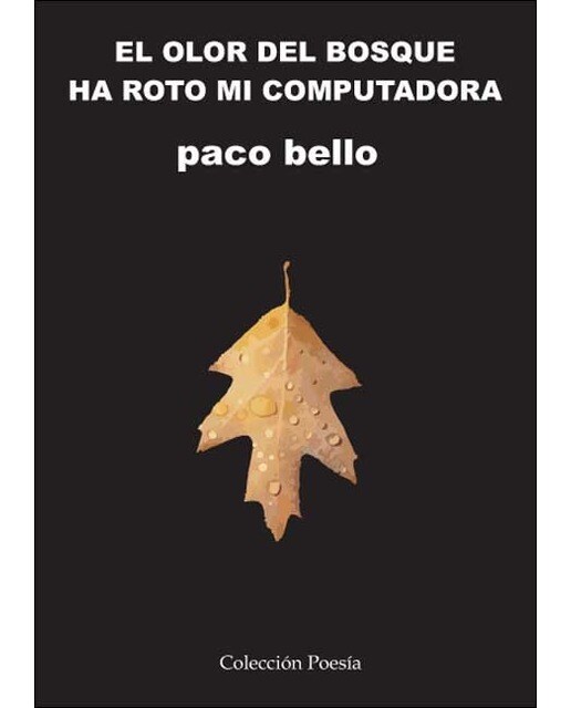 El olor del bosque ha roto mi computadora 1