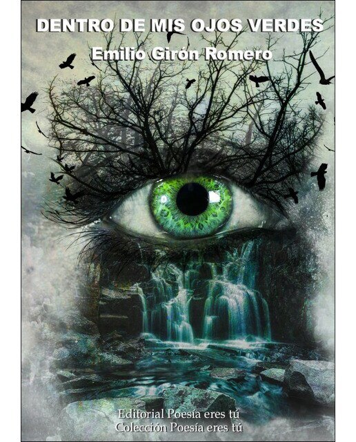 Dentro de mis ojos verdes(Tapa blanda) 1