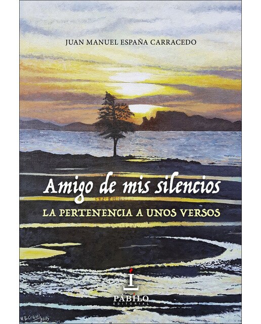 Amigo de mis silencios(Tapa blanda) 1