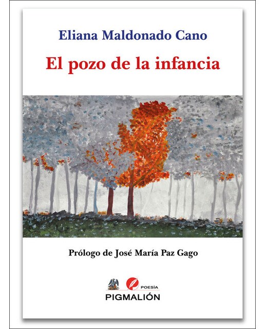 Pozo de la infancia el 1