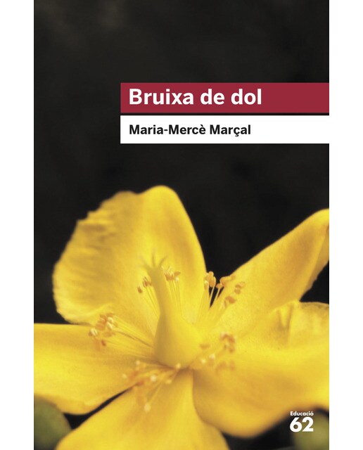 Imagem 0 de Bruixa de dol (1977-1979)(Tapa blanda)