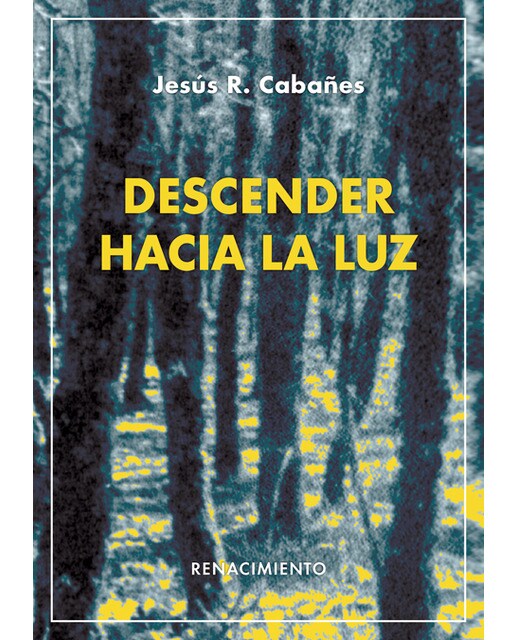 Imagen 0 de Descender hacia la luz (Tapa blanda)