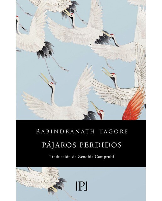 Pájaros perdidos (Sentimientos) (Capa mole com abas) 1