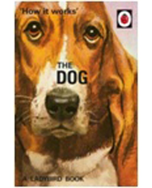 How It Works: The Dog 1
