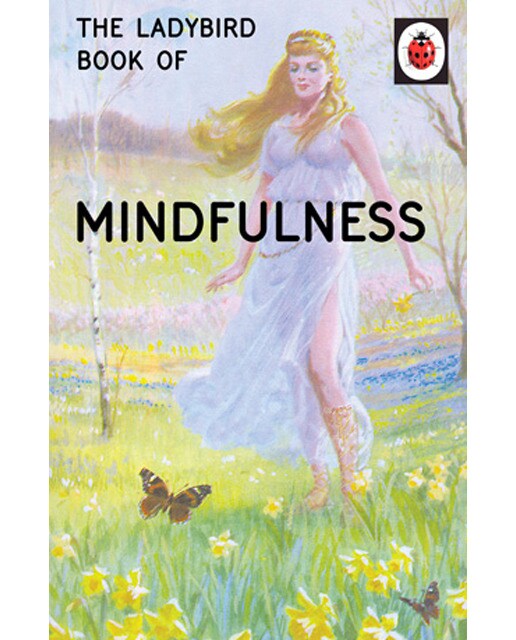 Ladybird Book Of Mindfulness. The 1