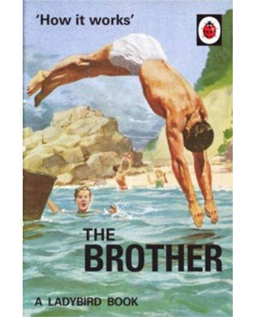 How It Works: The Brother (Ladybird Forgrownups) 1