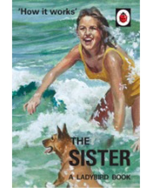 How It Works: The Sister (Ladybird For Grownups) 1