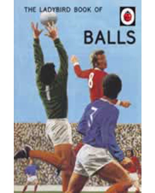 Ladybird Book Of Balls (Ladybird For Grownups) 1