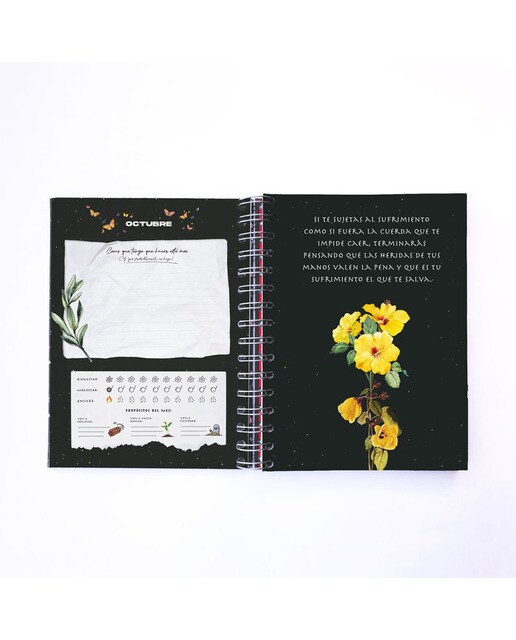 Flores y Dinamita: Agenda 2022-2023 (Capa dura) 3