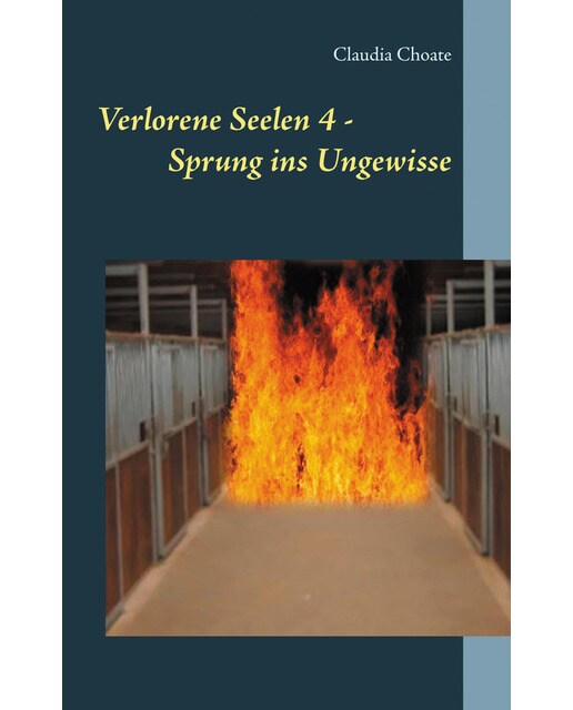 Verlorene Seelen 4 - Sprung ins Ungewisse (Capa mole) 1