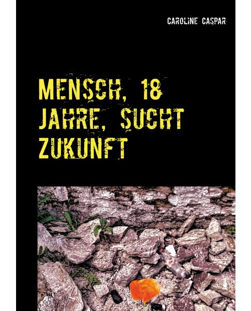 Mensch, 18 Jahre, sucht Zukunft 1