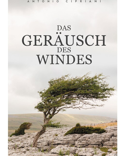 Das Geräusch des Windes 1