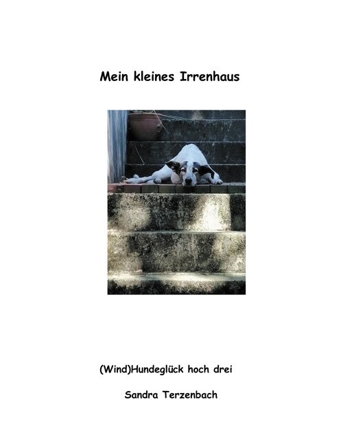 Mein kleines Irrenhaus 1
