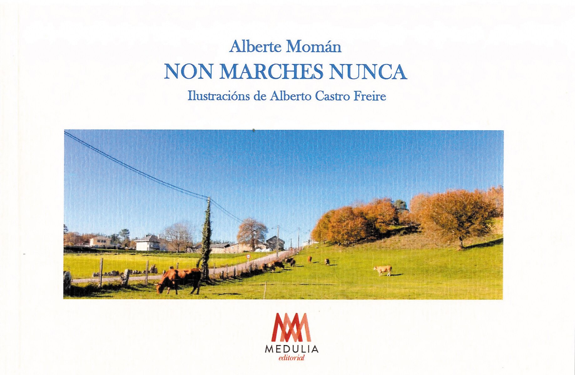 Non marches nunca(Tapa blanda) 1