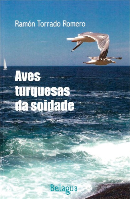 Imagem 0 de Aves turquesas da soidade (Capa mole com abas)
