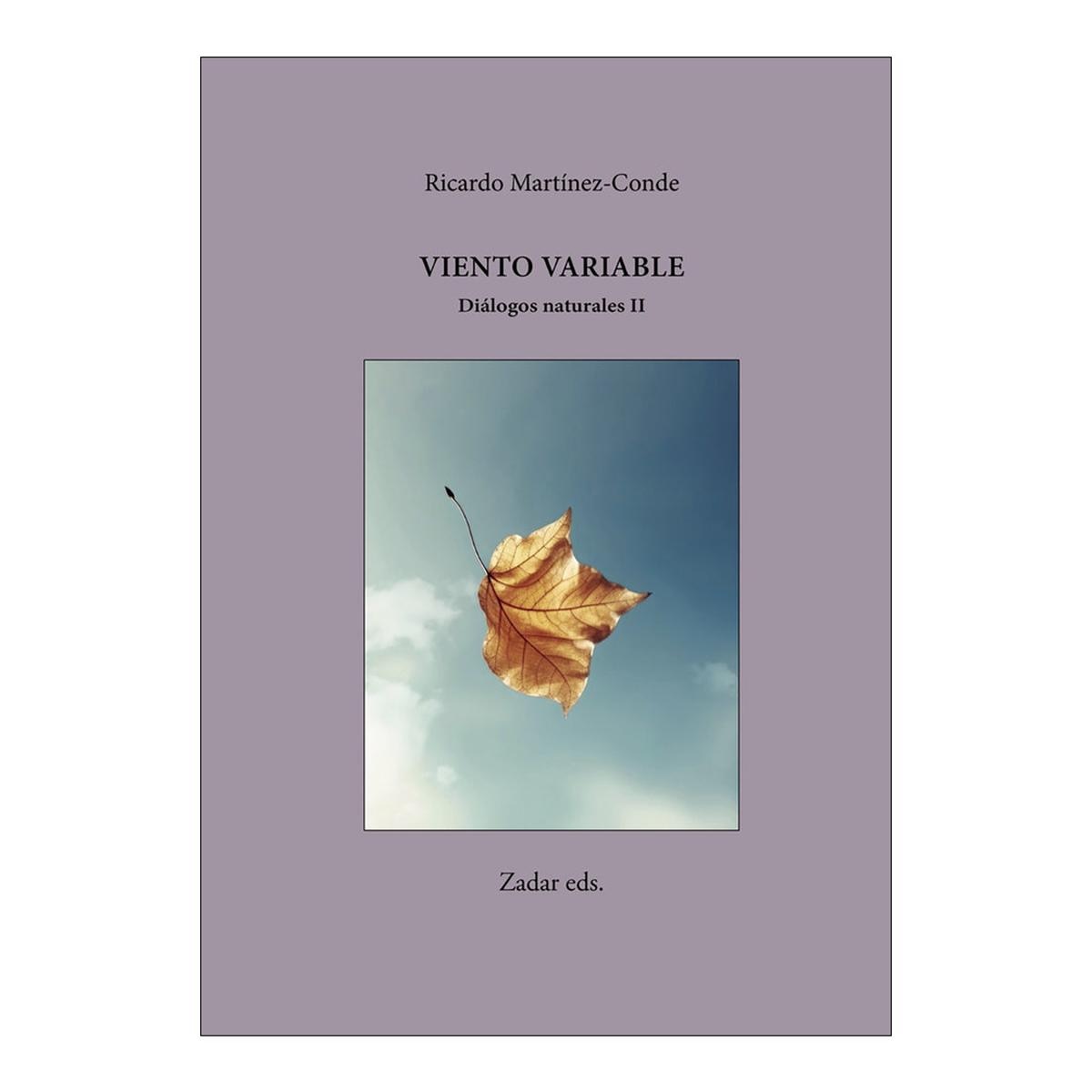 Viento variable 1