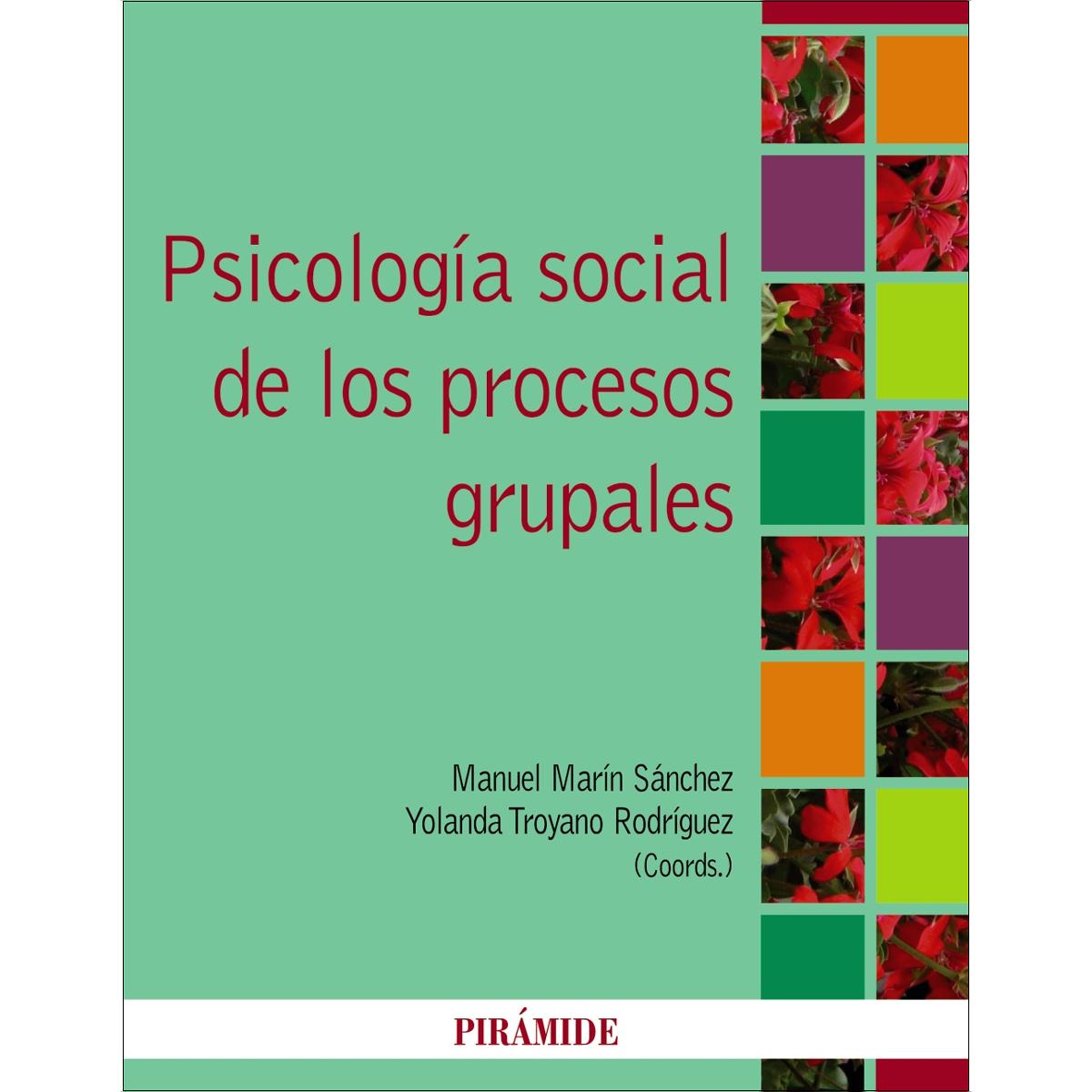 Psicología social de los procesos grupales(Tapa blanda) 1