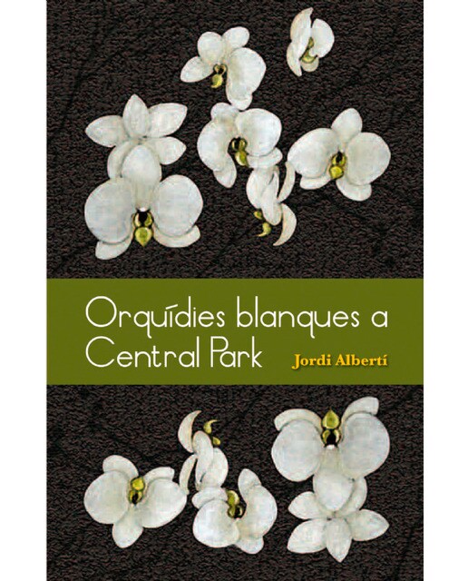 Orquídies blanques a central park