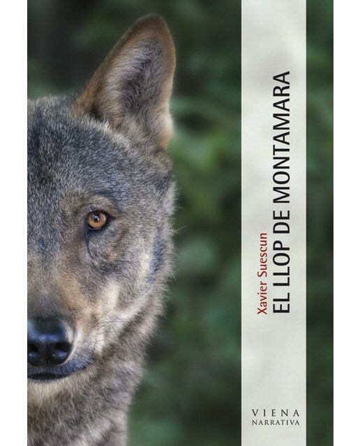 El llop de montamara