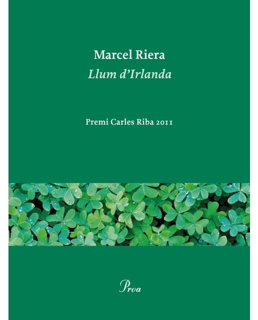 Llum d'Irlanda