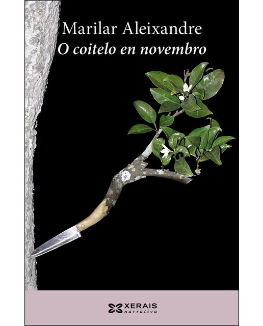 Imagen 1 de O coitelo en novembro  (Tapa blanda Tapa blanda con solapas)