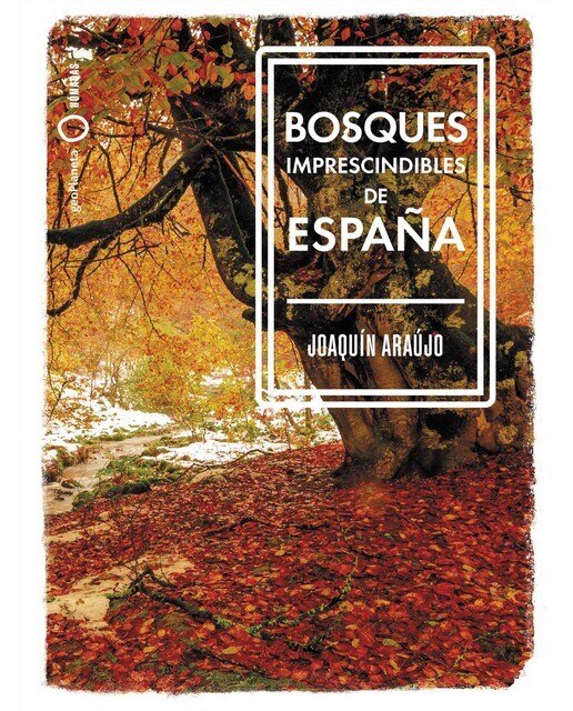 Imagen 0 de Bosques imprescindibles de España (Tapa blanda)